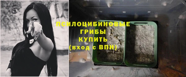 экстази Арсеньев